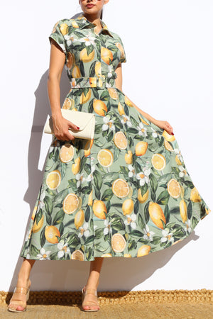 DD8108, PRINTED BUTTON DOWN MIDI DRESS